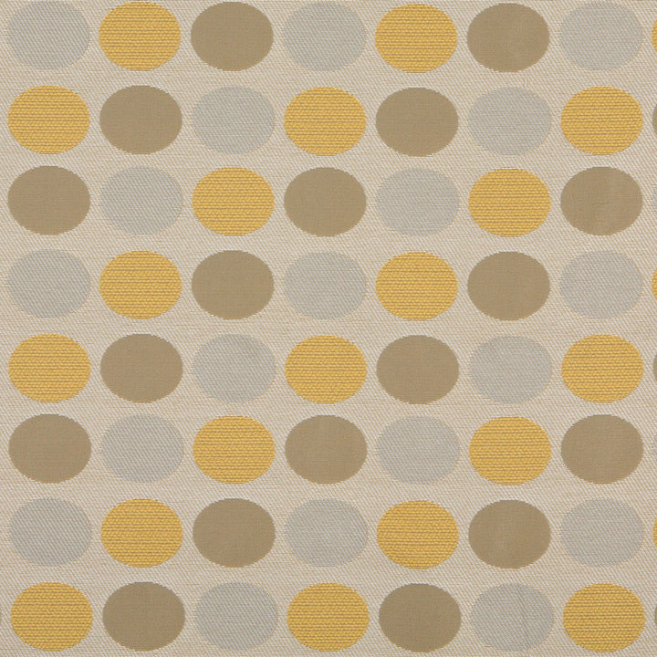 10136-01 by Charlotte Designer Fabric Outdoor/Indoor Wovens 100% Solution Dyed Woven Olefin Made In USA Exceeds 100,000 Wyzenbeek Rubs (Heavy Duty) Horizontal: 7.25" x Vertical: 6.5" 54 Inches - Swanky Fabrics -