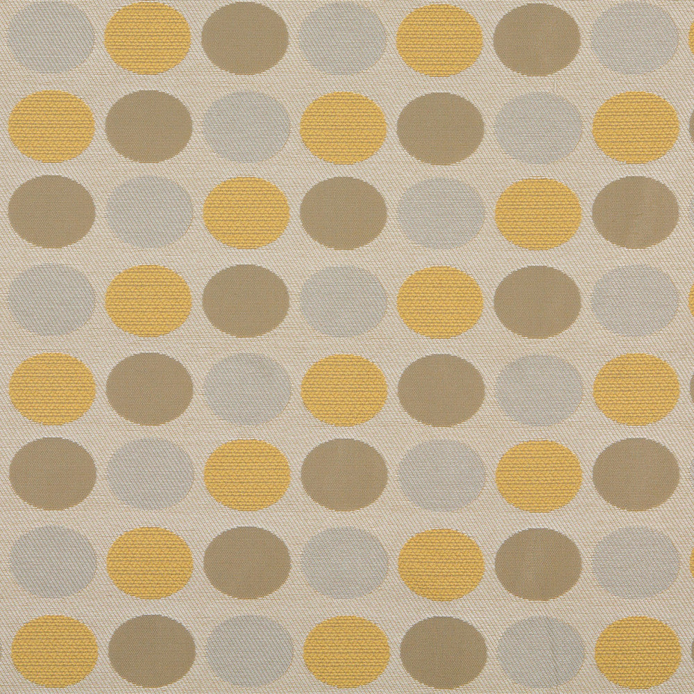 10136-01 by Charlotte Designer Fabric Outdoor/Indoor Wovens 100% Solution Dyed Woven Olefin Made In USA Exceeds 100,000 Wyzenbeek Rubs (Heavy Duty) </p><p>Repeat: Horizontal: 7.25" x Vertical: 6.5" 54 Inches - Swanky Fabrics -