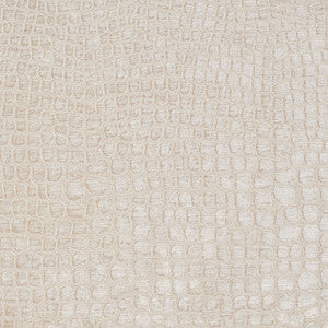 10151-02 by Charlotte Designer Fabric