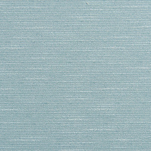10200-02 by Charlotte Designer Fabric