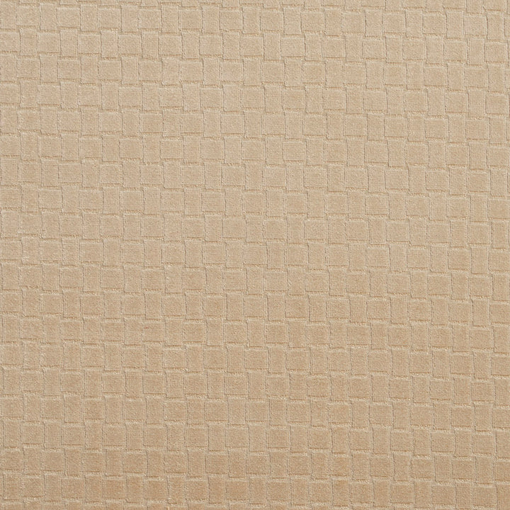 10400-05 by Charlotte Designer Fabric Gemstones II 100% Woven Polyester Velvet Asia Exceeds 125,000 Wyzenbeek Rubs (Heavy Duty) Horizontal: .75" x Vertical: 1" 54 Inches - Swanky Fabrics -