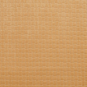 10400-07 by Charlotte Designer Fabric