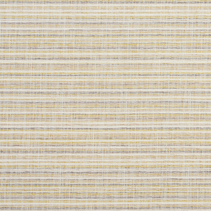 10460-01 by Charlotte Designer Fabric Modern Textures 100% Woven Polyester Asia Exceeds 120,000 Wyzenbeek Rubs (Heavy Duty) Vertical: 9" 54 Inches - Swanky Fabrics -