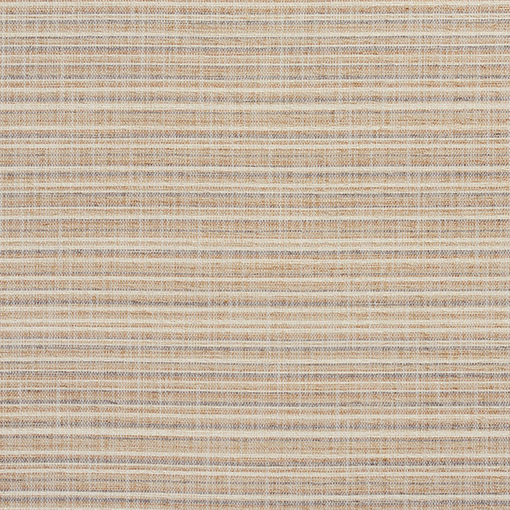 10460-03 by Charlotte Designer Fabric Modern Textures 100% Woven Polyester Asia Exceeds 120,000 Wyzenbeek Rubs (Heavy Duty) </p><p>Repeat: Vertical: 9" 54 Inches - Swanky Fabrics -