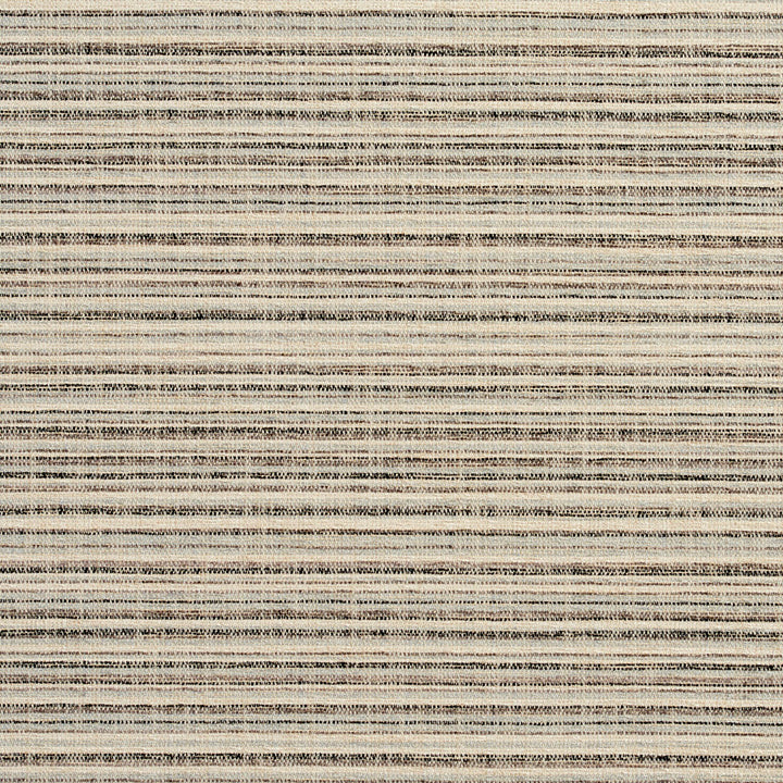 10460-06 by Charlotte Designer Fabric Modern Textures 100% Woven Polyester Asia Exceeds 120,000 Wyzenbeek Rubs (Heavy Duty) </p><p>Repeat: Vertical: 9" 54 Inches - Swanky Fabrics -