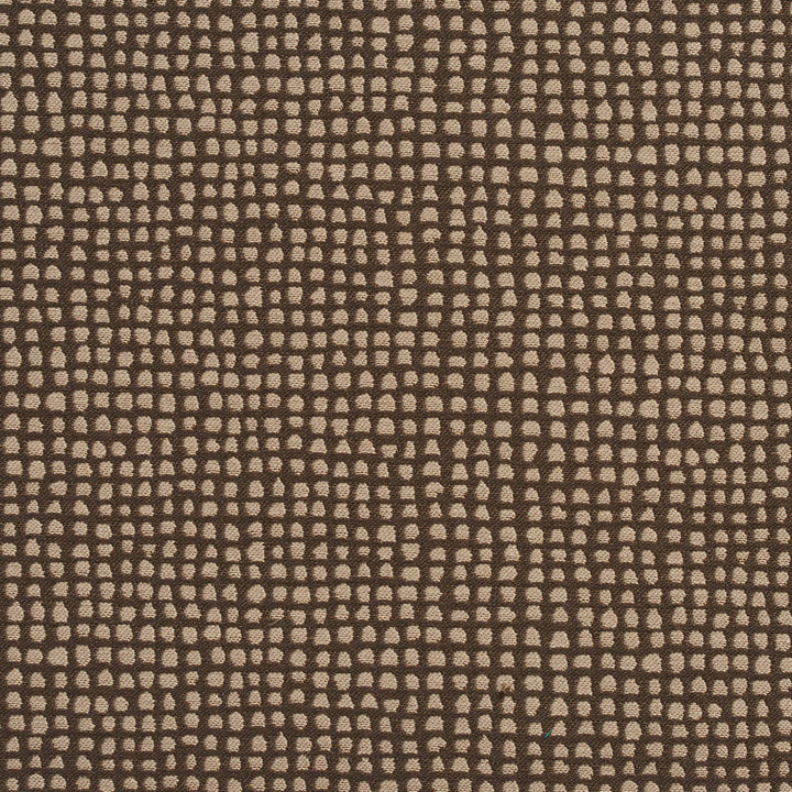 10500-03 by Charlotte Designer Fabric Vogue II 100% Woven Polyester Taiwan Exceeds 200,000 Wyzenbeek Rubs (Heavy Duty) No Repeat 54 Inches - Swanky Fabrics -