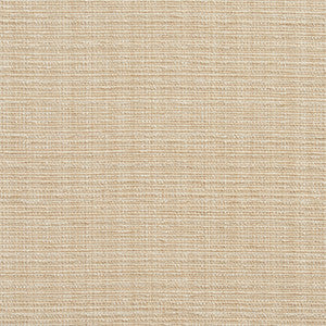 10520-01 by Charlotte Designer Fabric