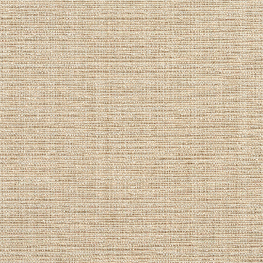 10520-01 by Charlotte Designer Fabric Vogue II 100% Woven Polyester Taiwan Exceeds 125,000 Wyzenbeek Rubs (Heavy Duty) No Repeat 54 Inches - Swanky Fabrics -