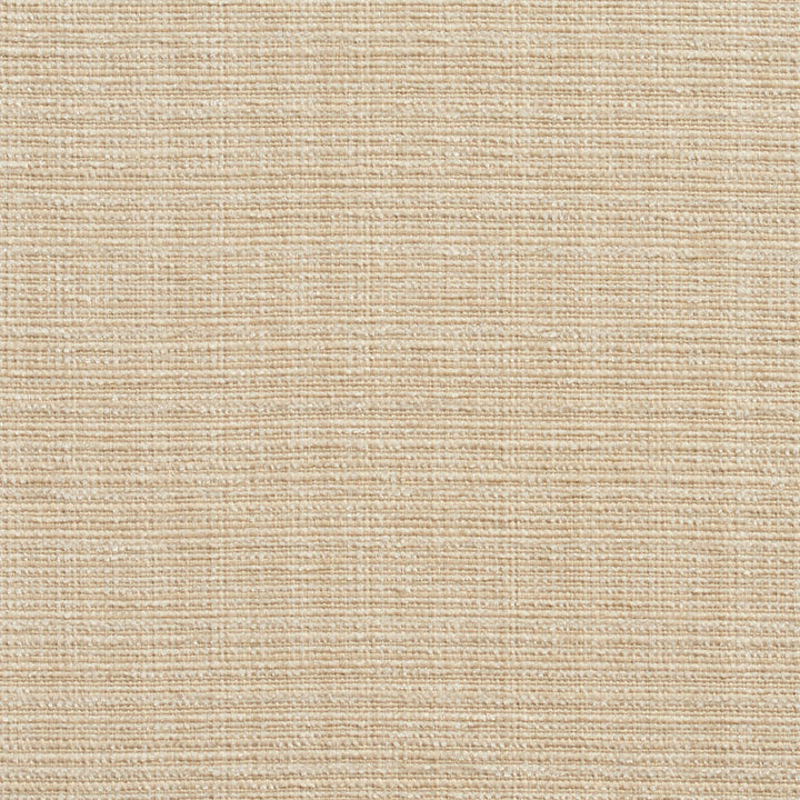 10520-01 by Charlotte Designer Fabric Vogue II 100% Woven Polyester Taiwan Exceeds 125,000 Wyzenbeek Rubs (Heavy Duty) No Repeat 54 Inches - Swanky Fabrics -