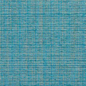 10520-02 by Charlotte Designer Fabric