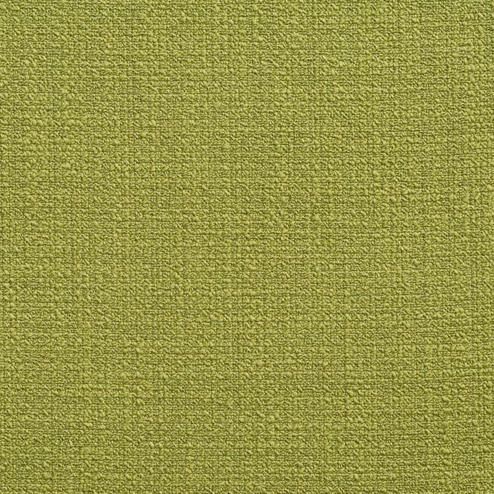 10530-07 by Charlotte Designer Fabric Vogue II 50% Polyester, 50% Acrylic Taiwan Exceeds 200,000 Wyzenbeek Rubs (Heavy Duty) </p><p>Repeat: 54 Inches - Swanky Fabrics -