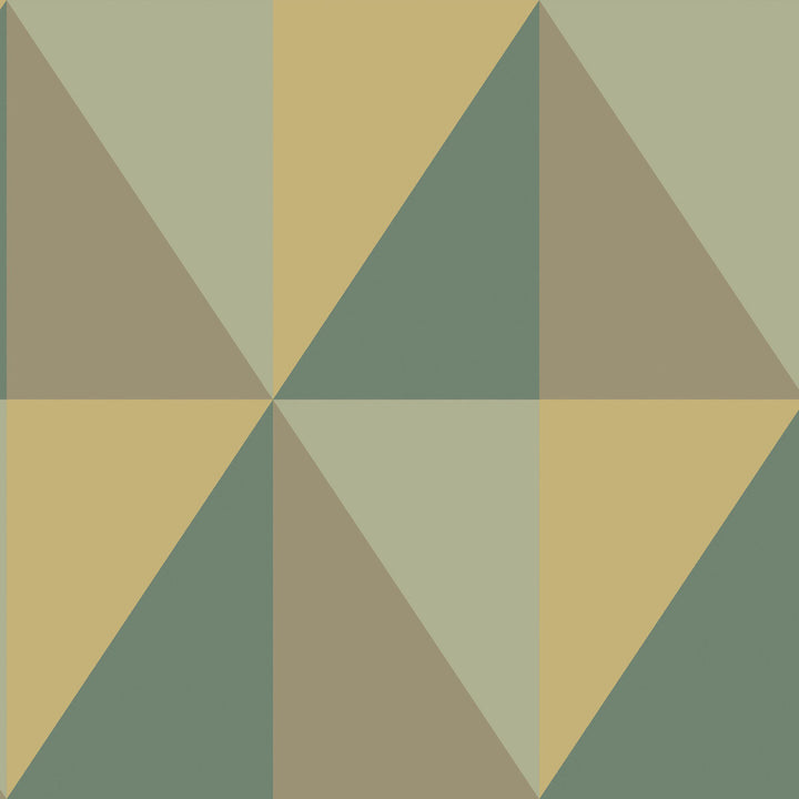 Apex Grand Green by Cole & Son Wallcovering Cole & Son Wallcovering Apex Grand GreenWallcovering COLE & SON GEOMETRIC II PAPER - 100% United Kingdom </p><p>Repeat: H: , V: 27 27 - Fabric Carolina -