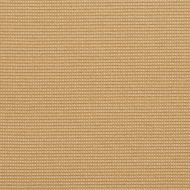 10600-01 by Charlotte Designer Fabric Outdoor/Indoor Wovens II Solution Dyed Acrylic & Polyester Made In USA Exceeds 50,000 Wyzenbeek Rubs (Heavy Duty) </p><p>Repeat: 54 Inches - Swanky Fabrics -