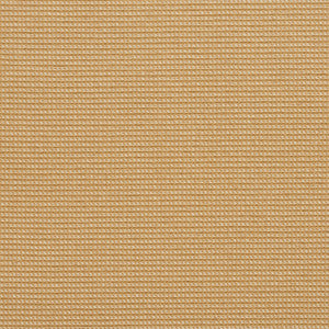 10600-01 by Charlotte Designer Fabric