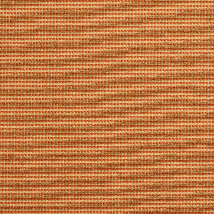 10600-02 by Charlotte Designer Fabric Outdoor/Indoor Wovens II Solution Dyed Acrylic & Polyester Made In USA Exceeds 50,000 Wyzenbeek Rubs (Heavy Duty) </p><p>Repeat: 54 Inches - Swanky Fabrics -