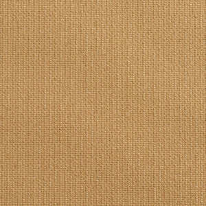 10670-01 by Charlotte Designer Fabric