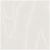 Watered Silk Silver by Cole & Son Designer Wallcovering