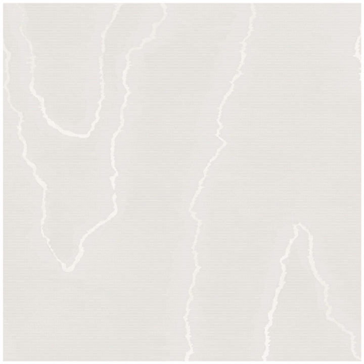 Watered Silk Silver by Cole & Son Wallcovering Cole & Son Wallcovering Watered Silk SilverWallcovering COLE & SON LANDSCAPE PLAINS PAPER - 100% United Kingdom </p><p>Repeat: H: 20.5, V: 24 20.5 - Fabric Carolina -