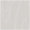 Watered Silk Grey by Cole & Son Designer Wallcovering