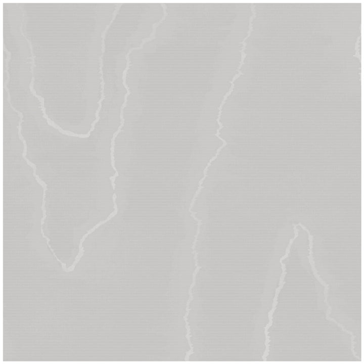 Watered Silk Cloud Grey by Cole & Son Wallcovering Cole & Son Wallcovering Watered Silk Cloud GreyWallcovering COLE & SON LANDSCAPE PLAINS PAPER - 100% United Kingdom </p><p>Repeat: H: , V: 24 20.5 - Fabric Carolina -