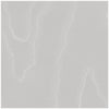 Watered Silk Cloud Grey by Cole & Son Designer Wallcovering