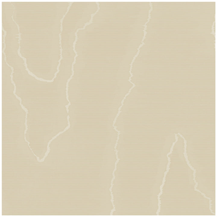 Watered Silk Fawn by Cole & Son Designer Wallcovering COLE & SON LANDSCAPE PLAINS PAPER - 100% United Kingdom Horizontal: and Vertical: 24 20.5 - Swanky Fabrics -