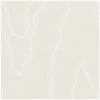 Watered Silk Ivory by Cole & Son Designer Wallcovering