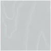 Watered Silk Ice Blue by Cole & Son Designer Wallcovering