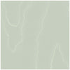 Watered Silk Duck Egg by Cole & Son Designer Wallcovering