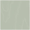 Watered Silk Sage by Cole & Son Designer Wallcovering