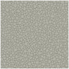Pebble Grey by Cole & Son Designer Wallcovering