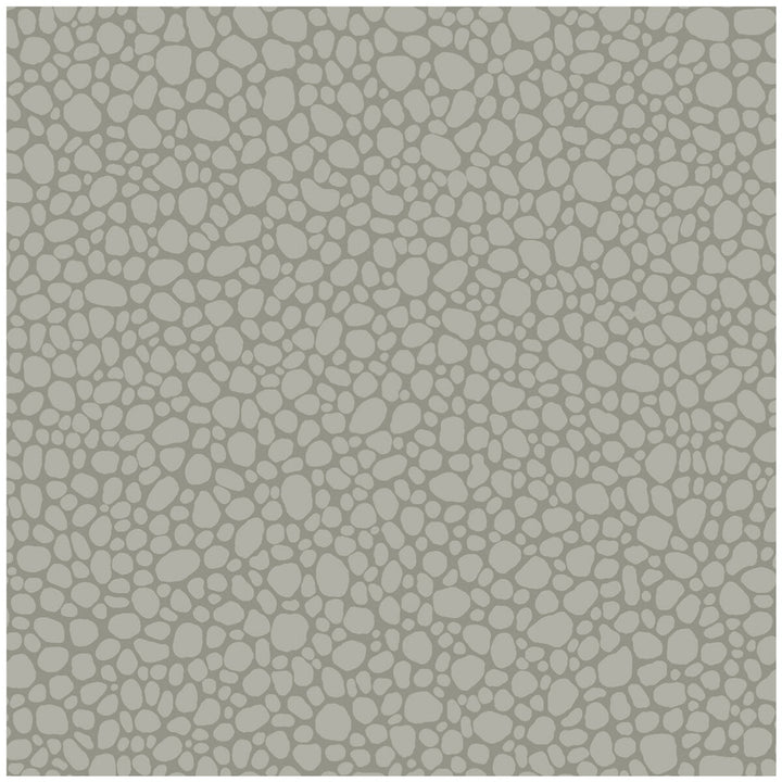 Pebble Grey by Cole & Son Designer Wallcovering COLE & SON LANDSCAPE PLAINS PAPER - 100% United Kingdom Horizontal: and Vertical: 5.1 20.5 - Swanky Fabrics -