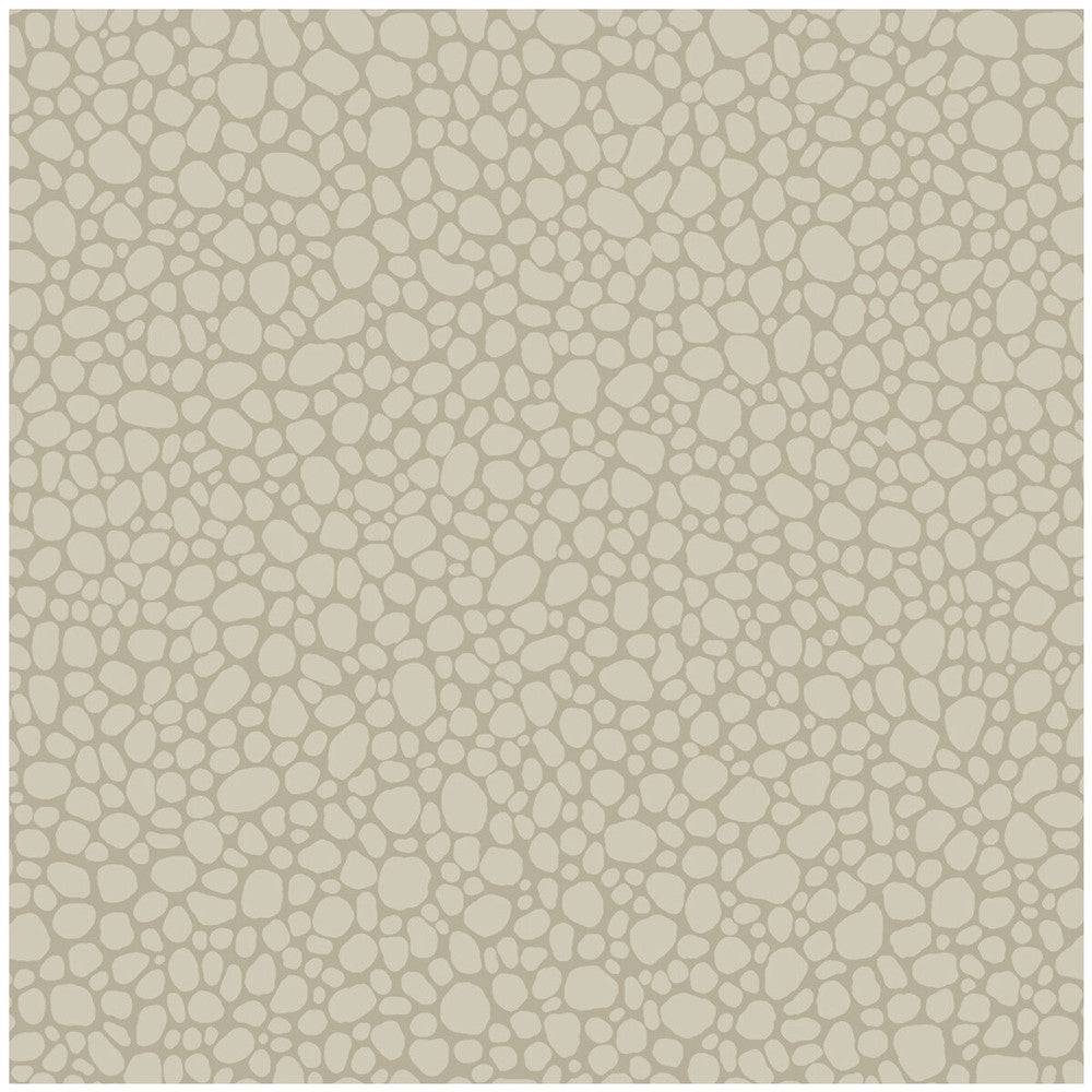 Pebble Linen by Cole & Son Wallcovering Cole & Son Wallcovering Pebble LinenWallcovering COLE & SON LANDSCAPE PLAINS PAPER - 100% United Kingdom </p><p>Repeat: H: , V: 5.1 20.5 - Fabric Carolina -