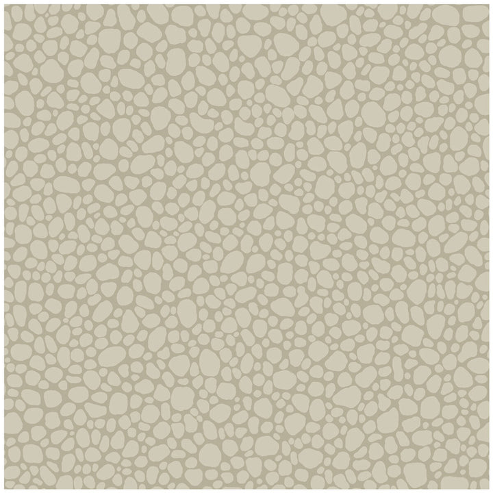 Pebble Linen by Cole & Son Wallcovering Cole & Son Wallcovering Pebble LinenWallcovering COLE & SON LANDSCAPE PLAINS PAPER - 100% United Kingdom </p><p>Repeat: H: , V: 5.1 20.5 - Fabric Carolina -