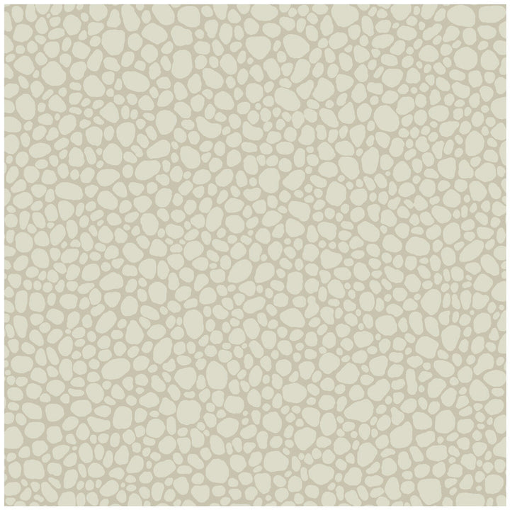 Pebble Stone by Cole & Son Wallcovering Cole & Son Wallcovering Pebble StoneWallcovering COLE & SON LANDSCAPE PLAINS PAPER - 100% United Kingdom </p><p>Repeat: H: , V: 5.1 20.5 - Fabric Carolina -