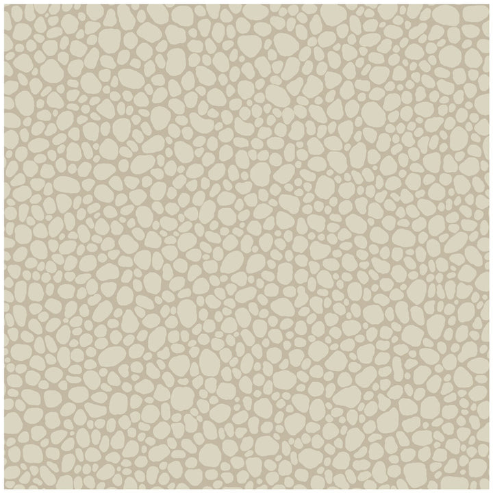 Pebble Parchment by Cole & Son Designer Wallcovering COLE & SON LANDSCAPE PLAINS PAPER - 100% United Kingdom - Horizontal: - and Vertical: 5.1 20.5 - Swanky Fabrics -