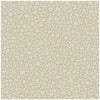 Pebble Parchment by Cole & Son Designer Wallcovering
