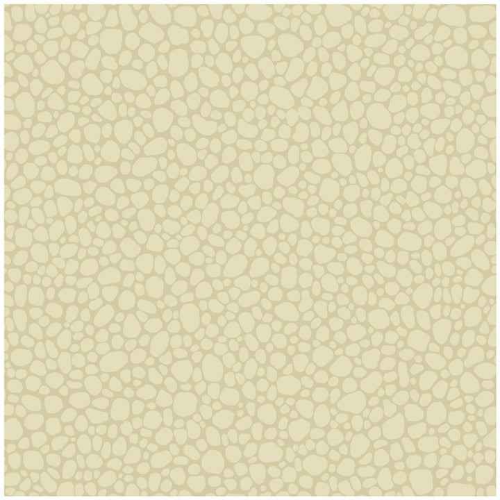 Pebble Cream by Cole & Son Wallcovering Cole & Son Wallcovering Pebble CreamWallcovering COLE & SON LANDSCAPE PLAINS PAPER - 100% United Kingdom </p><p>Repeat: H: , V: 5.1 20.5 - Fabric Carolina -