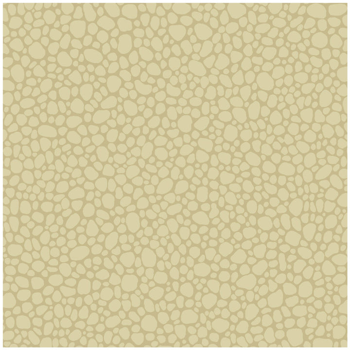 Pebble Latte by Cole & Son Designer Wallcovering COLE & SON LANDSCAPE PLAINS PAPER - 100% United Kingdom - Horizontal: - and Vertical: 5.1 20.5 - Swanky Fabrics -
