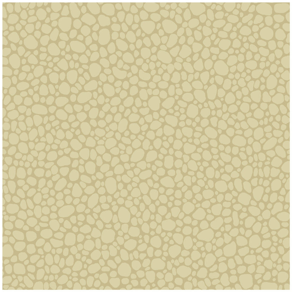 Pebble Latte by Cole & Son Wallcovering Cole & Son Wallcovering Pebble LatteWallcovering COLE & SON LANDSCAPE PLAINS PAPER - 100% United Kingdom </p><p>Repeat: H: , V: 5.1 20.5 - Fabric Carolina -