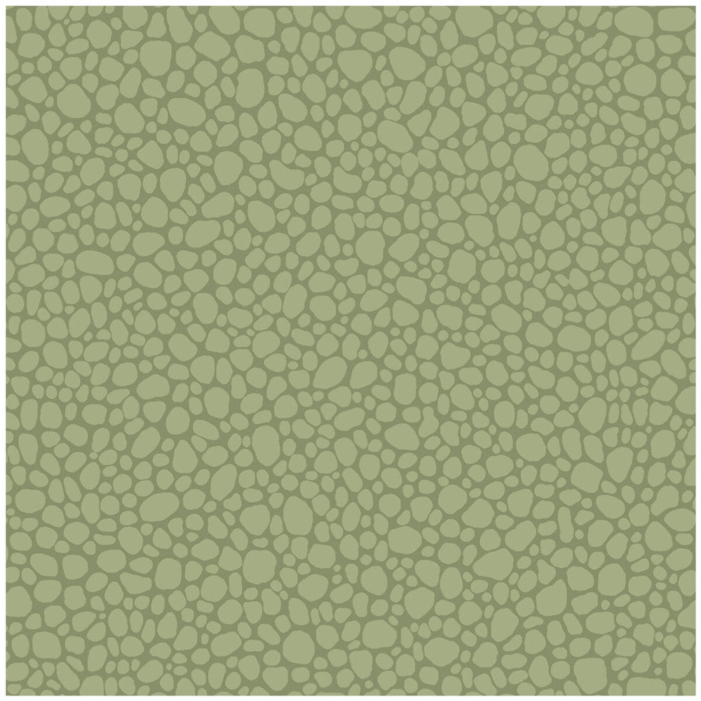 Pebble Dark Olive by Cole & Son Wallcovering Cole & Son Wallcovering Pebble Dark OliveWallcovering COLE & SON LANDSCAPE PLAINS PAPER - 100% United Kingdom </p><p>Repeat: H: , V: 5.1 20.5 - Fabric Carolina -