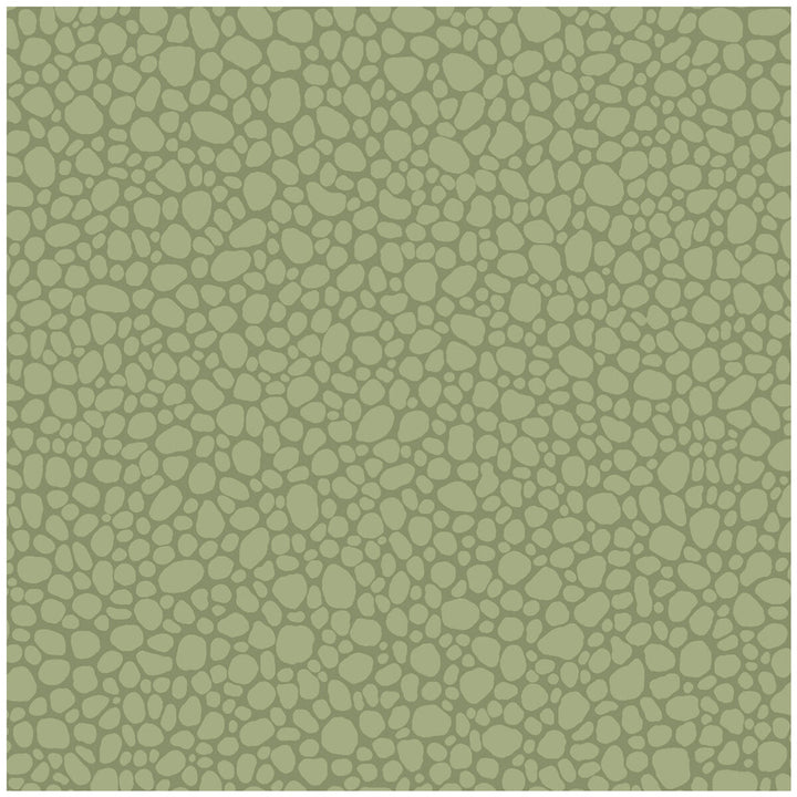 Pebble Dark Olive by Cole & Son Wallcovering Cole & Son Wallcovering Pebble Dark OliveWallcovering COLE & SON LANDSCAPE PLAINS PAPER - 100% United Kingdom </p><p>Repeat: H: , V: 5.1 20.5 - Fabric Carolina -