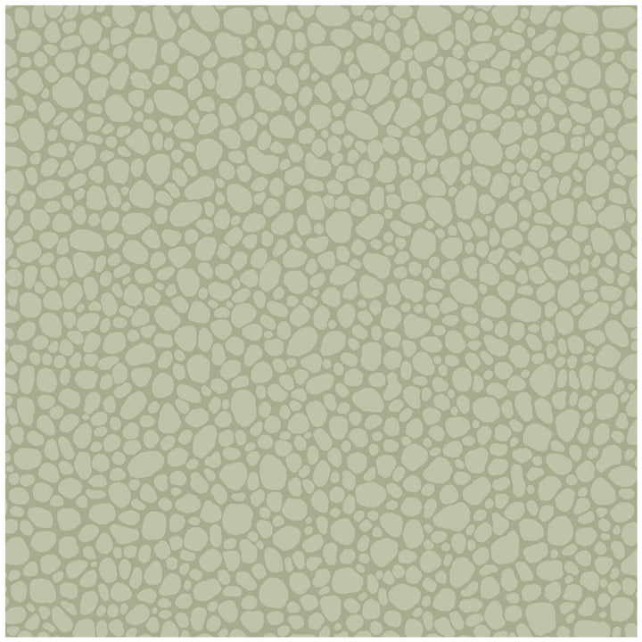 Pebble Sage by Cole & Son Designer Wallcovering COLE & SON LANDSCAPE PLAINS PAPER - 100% United Kingdom Horizontal: and Vertical: 5.1 20.5 - Swanky Fabrics -
