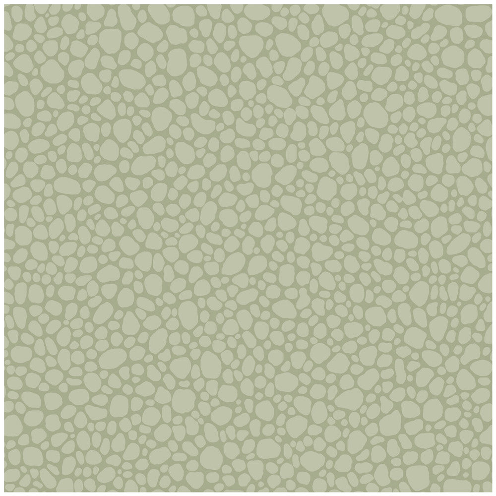 Pebble Sage by Cole & Son Designer Wallcovering COLE & SON LANDSCAPE PLAINS PAPER - 100% United Kingdom - Horizontal: - and Vertical: 5.1 20.5 - Swanky Fabrics -