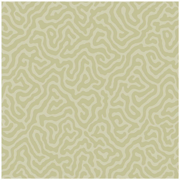Coral Old Olive by Cole & Son Wallcovering Cole & Son Wallcovering Coral Old OliveWallcovering COLE & SON LANDSCAPE PLAINS PAPER - 100% United Kingdom </p><p>Repeat: H: , V: 4.2 20.5 - Fabric Carolina -