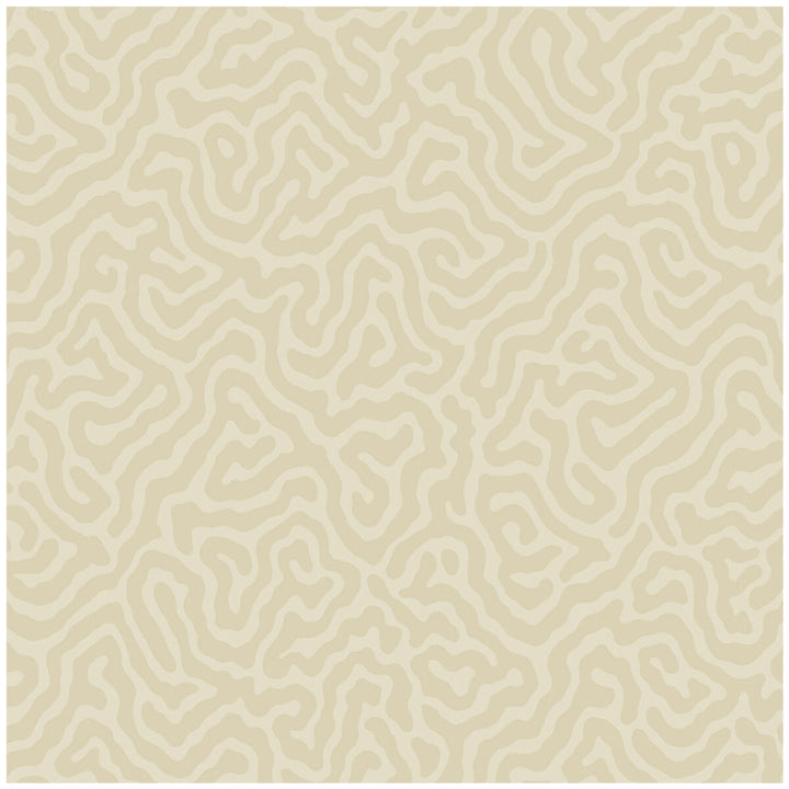 Coral Parchment by Cole & Son Wallcovering Cole & Son Wallcovering Coral ParchmentWallcovering COLE & SON LANDSCAPE PLAINS PAPER - 100% United Kingdom </p><p>Repeat: H: , V: 4.2 20.5 - Fabric Carolina -