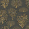 Seafern Black & Gold by Cole & Son Designer Wallcovering
