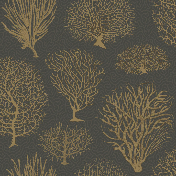 Seafern Black & Gold by Cole & Son Wallcovering Cole & Son Wallcovering Seafern Black & GoldWallcovering COLE & SON CURIO PAPER - 100% United Kingdom </p><p>Repeat: H: , V: 20.5 20.5 - Fabric Carolina -