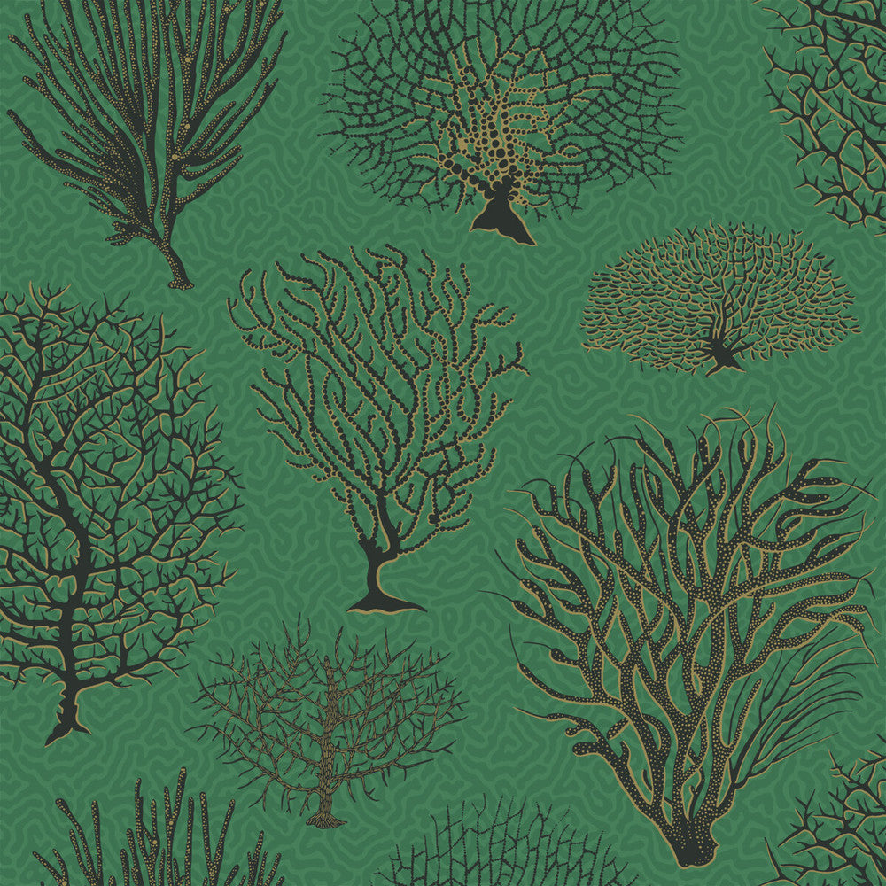 Seafern Emerald by Cole & Son Wallcovering Cole & Son Wallcovering Seafern EmeraldWallcovering COLE & SON CURIO PAPER - 100% United Kingdom </p><p>Repeat: H: , V: 20.5 20.5 - Fabric Carolina -