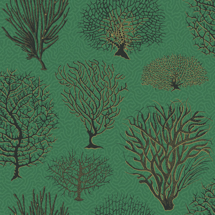Seafern Emerald by Cole & Son Designer Wallcovering COLE & SON CURIO PAPER - 100% United Kingdom - Horizontal: - and Vertical: 20.5 20.5 - Swanky Fabrics -